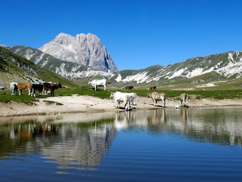 Mira Daire Pescara Dış mekan fotoğraf